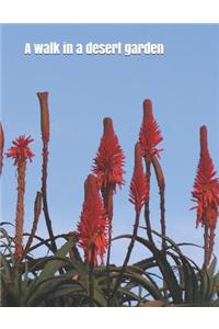 walk in a desert garden