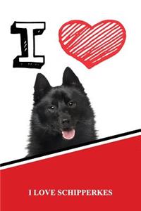 I Love Schipperkes