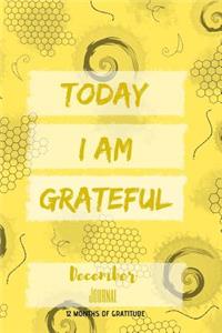 Today I am grateful