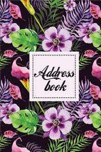 Address Book