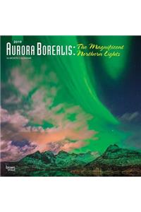 Aurora Borealis the Magnificent Northern Lights 2019 Square Foil