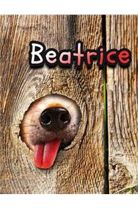 Beatrice: Personalized Discreet Internet Website Password Organizer, Large Print Book, 8 1/2