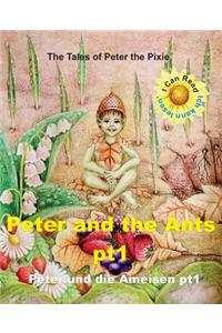 Peter the Pixie