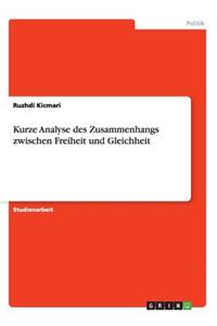 Kurze Analyse des Zusammenhangs zwischen Freiheit und Gleichheit