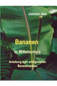 Bananen in Mitteleuropa