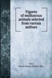 Figures of molluscous animals selected from various authors