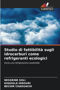 Studio di fattibilità sugli idrocarburi come refrigeranti ecologici