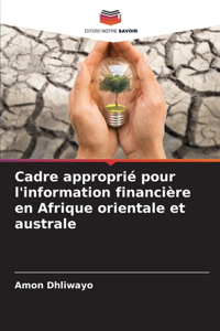 Cadre approprié pour l'information financière en Afrique orientale et australe