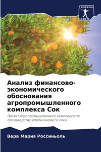 Анализ финансово-экономического обоснов&