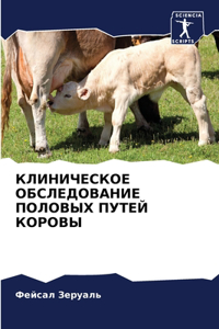 КЛИНИЧЕСКОЕ ОБСЛЕДОВАНИЕ ПОЛОВЫХ ПУТЕЙ К