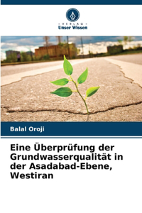 Eine Überprüfung der Grundwasserqualität in der Asadabad-Ebene, Westiran