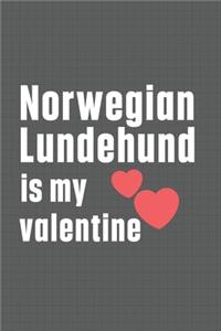 Norwegian Lundehund is my valentine: For Norwegian Lundehund Dog Fans