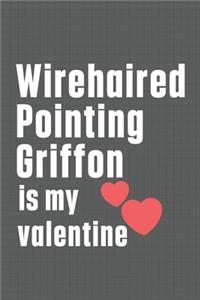 Wirehaired Pointing Griffon is my valentine