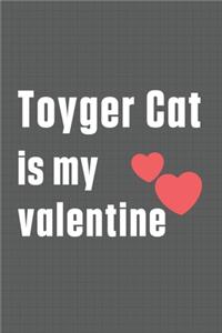 Toyger Cat is my valentine