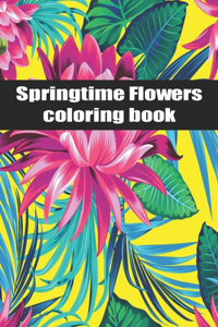Springtime Flowers coloring book