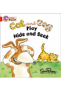 Cat and Dog Play Hide and Seek Workbook