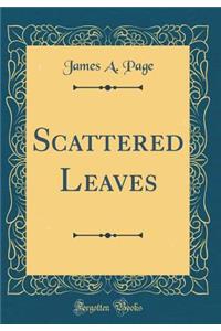 Scattered Leaves (Classic Reprint)