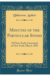 Minutes of the Particular Synod: Of New York; Convened at New York, May 6, 1851 (Classic Reprint): Of New York; Convened at New York, May 6, 1851 (Classic Reprint)