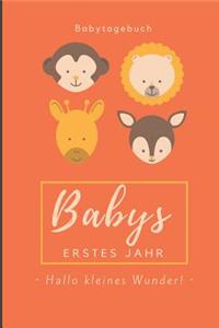 Babytagebuch Babys Erstes Jahr Hallo Kleines Wunder