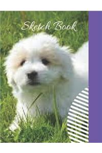 Sketch Book