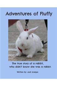 Adventures of Fluffy