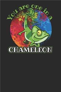 You Are One in a Chameleon