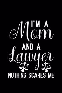 I'm a mom and a lawyer nothing scares me