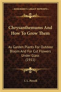 Chrysanthemums And How To Grow Them