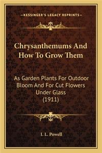 Chrysanthemums and How to Grow Them