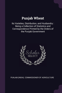 Punjab Wheat