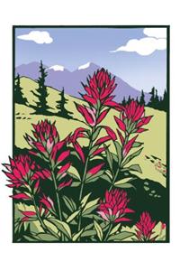 Indian Paintbrush (Unboxed)