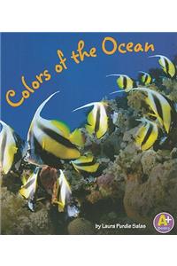 Colors of the Ocean