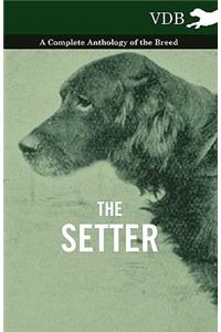 The Setter - A Complete Anthology of the Breed