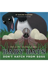 Baby Bats Don't Hatch From Eggs