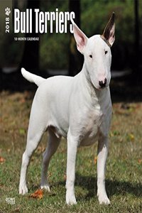 Bull Terriers 2018 Wall Calendar