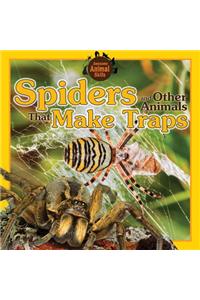 Spiders and Other Animals That Make Traps