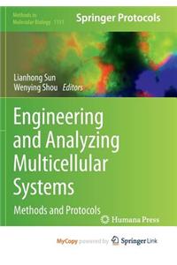 Engineering and Analyzing Multicellular Systems