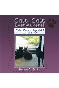 Cats, Cats Everywhere!