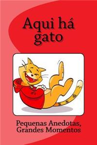 Aqui há gato