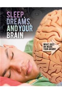 Sleep, Dreams, and Your Brain