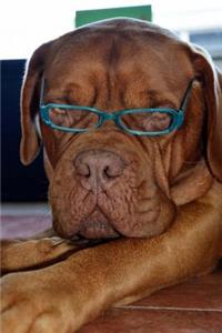 Handsome French Mastiff with Reading Glasses Dog Journal