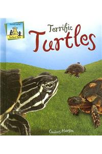 Terrific Turtles