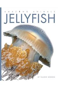 Jellyfish