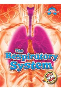 The Respiratory System