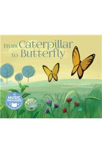 From Caterpillar to Butterfly
