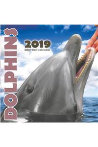 Dolphins 2019 Mini Wall Calendar