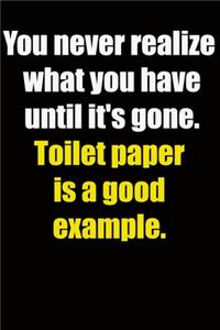 You never realize what you have until it's gone. Toilet paper is a good example.