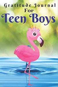 Gratitude Journal for Teen boys