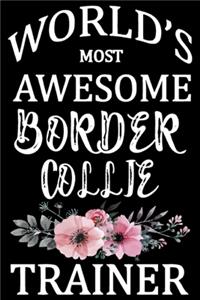 World's Most Awesome Border Collie Trainer