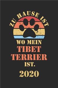 Tibet Terrier 2020